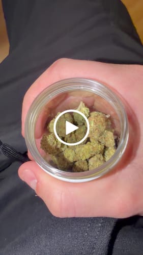 Customer video review of Do-Si-Dos x Gelato 30% THCA