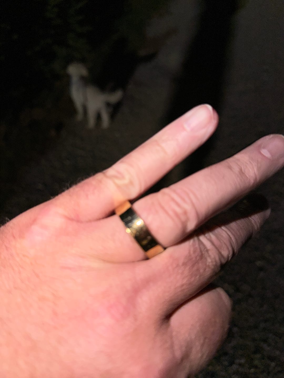 Customer photo review of SMART RING ONE
