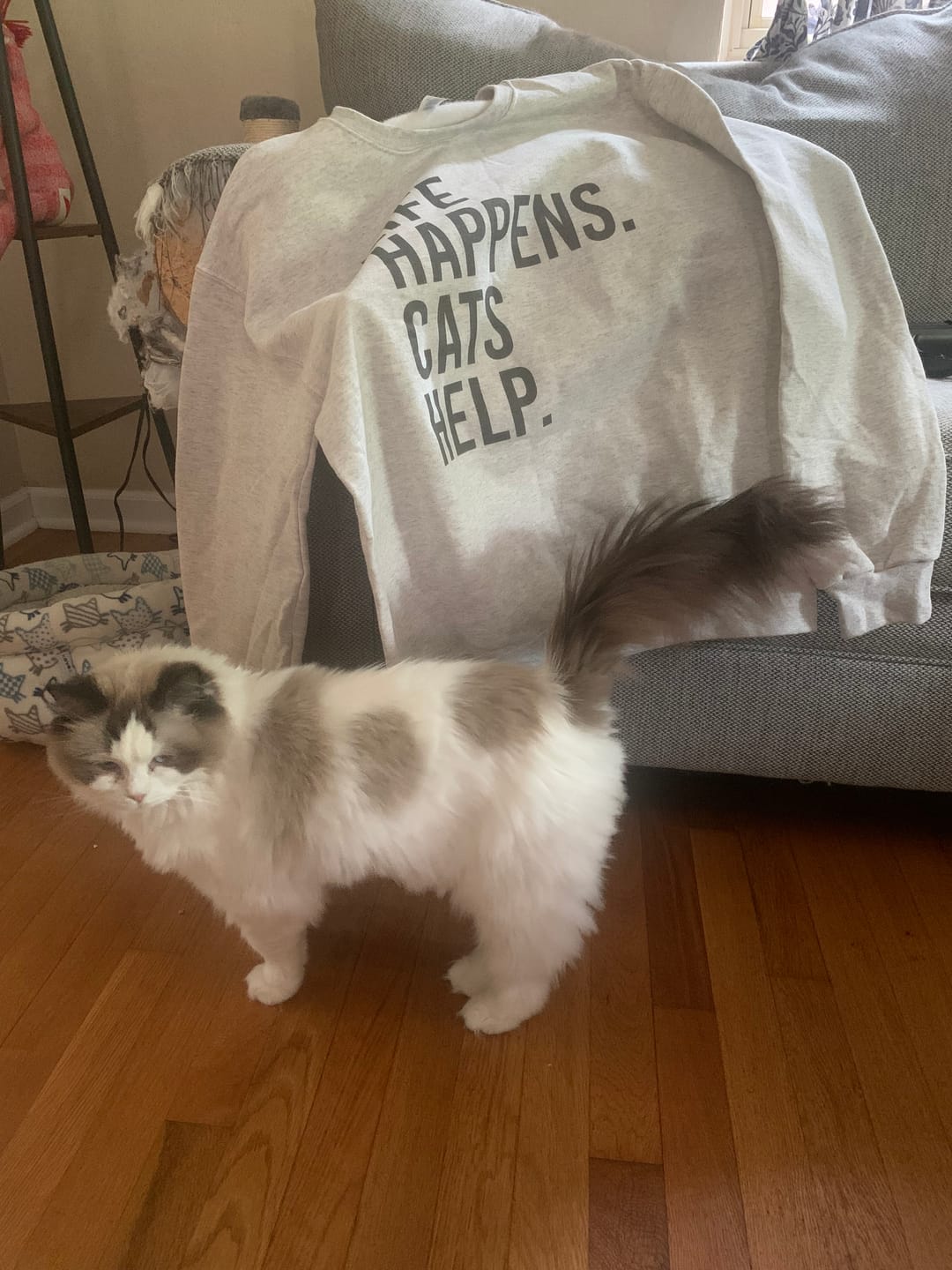 Customer photo review of Life Happens Cats Help