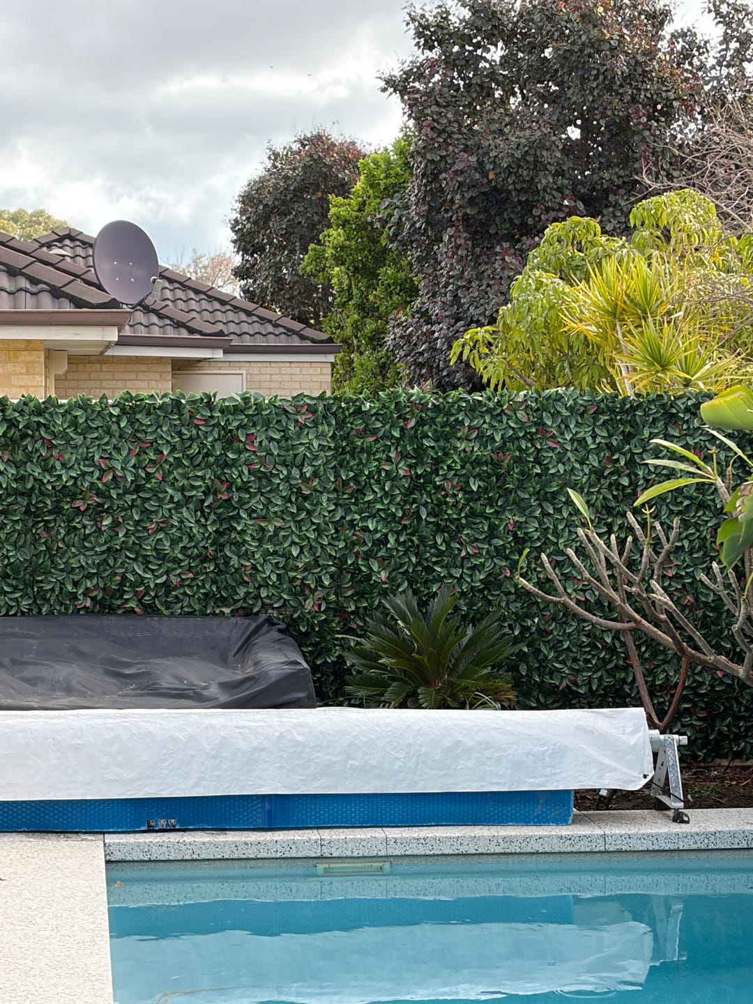 Customer photo review of Photinia Artificial Hedge Panel 1m x 1m – SGS UV Resistant