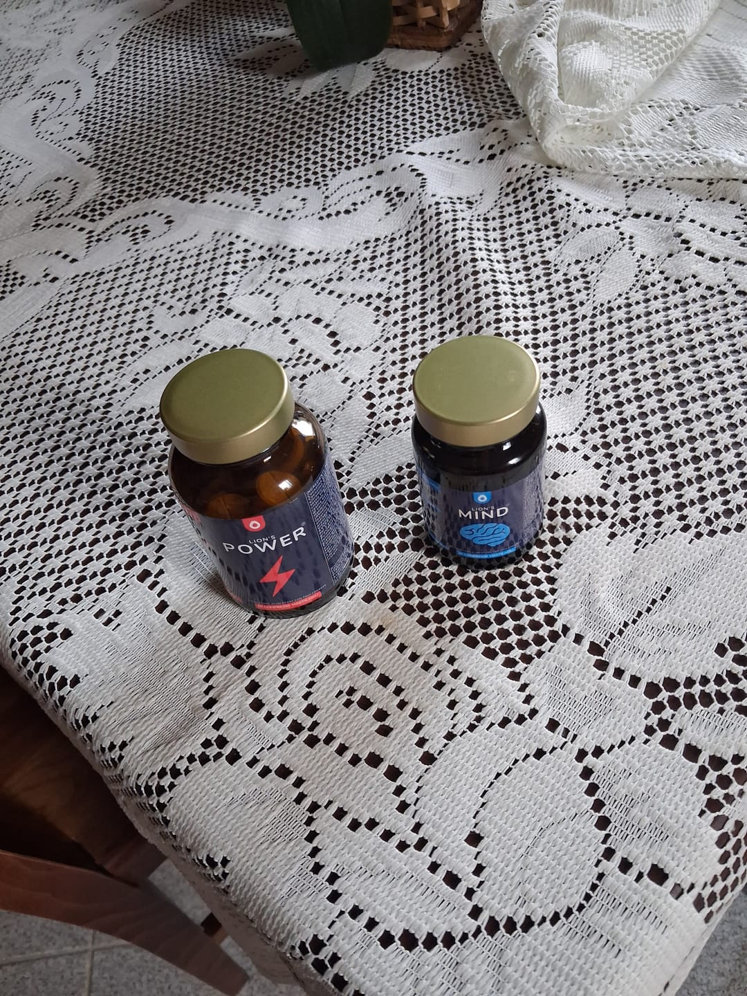 Customer photo review of Lion's Mind