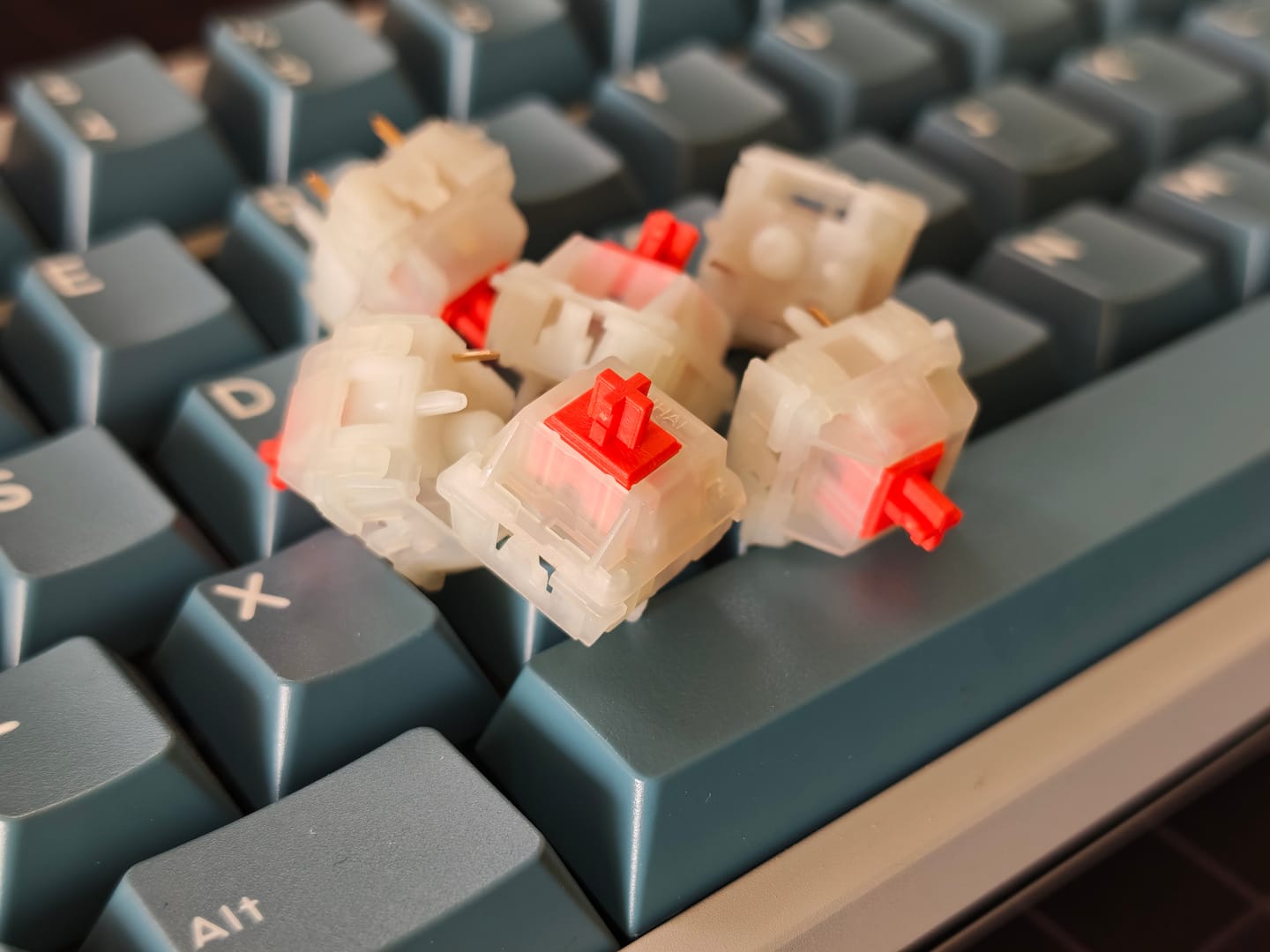 Customer photo review of WINGTREE Camellia Linear Switch Factory Lubed (10PCS)