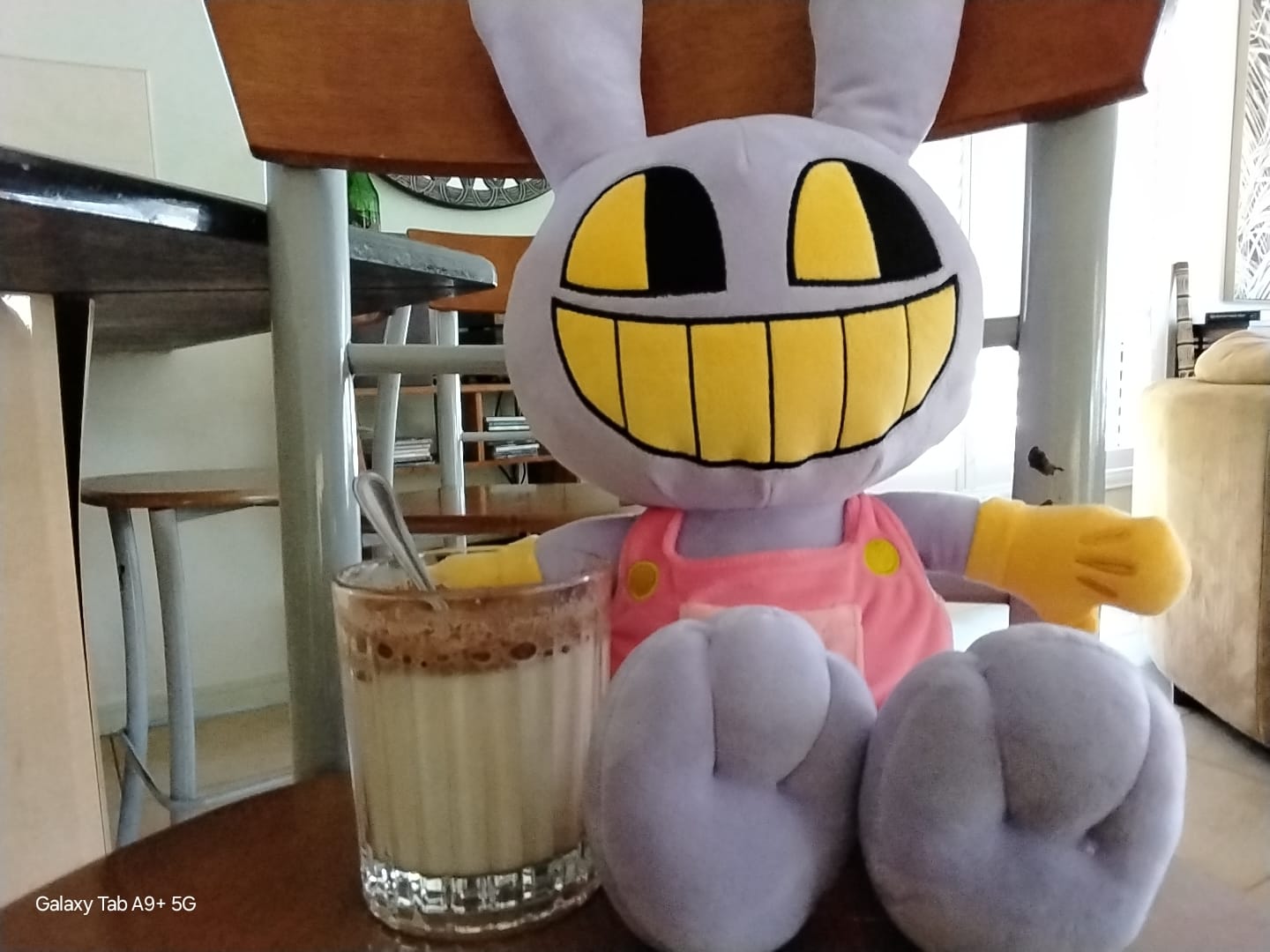 Customer photo review of Jax Plush