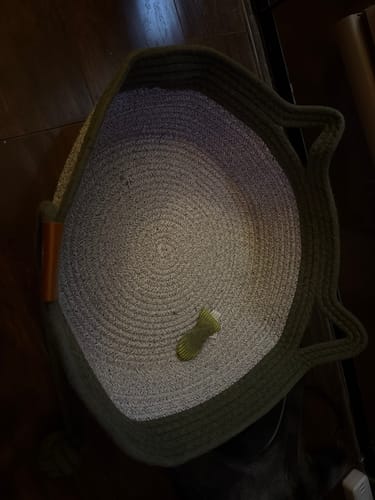 Customer's green, circular Instinct Basket with a small toy inside, viewed from above.