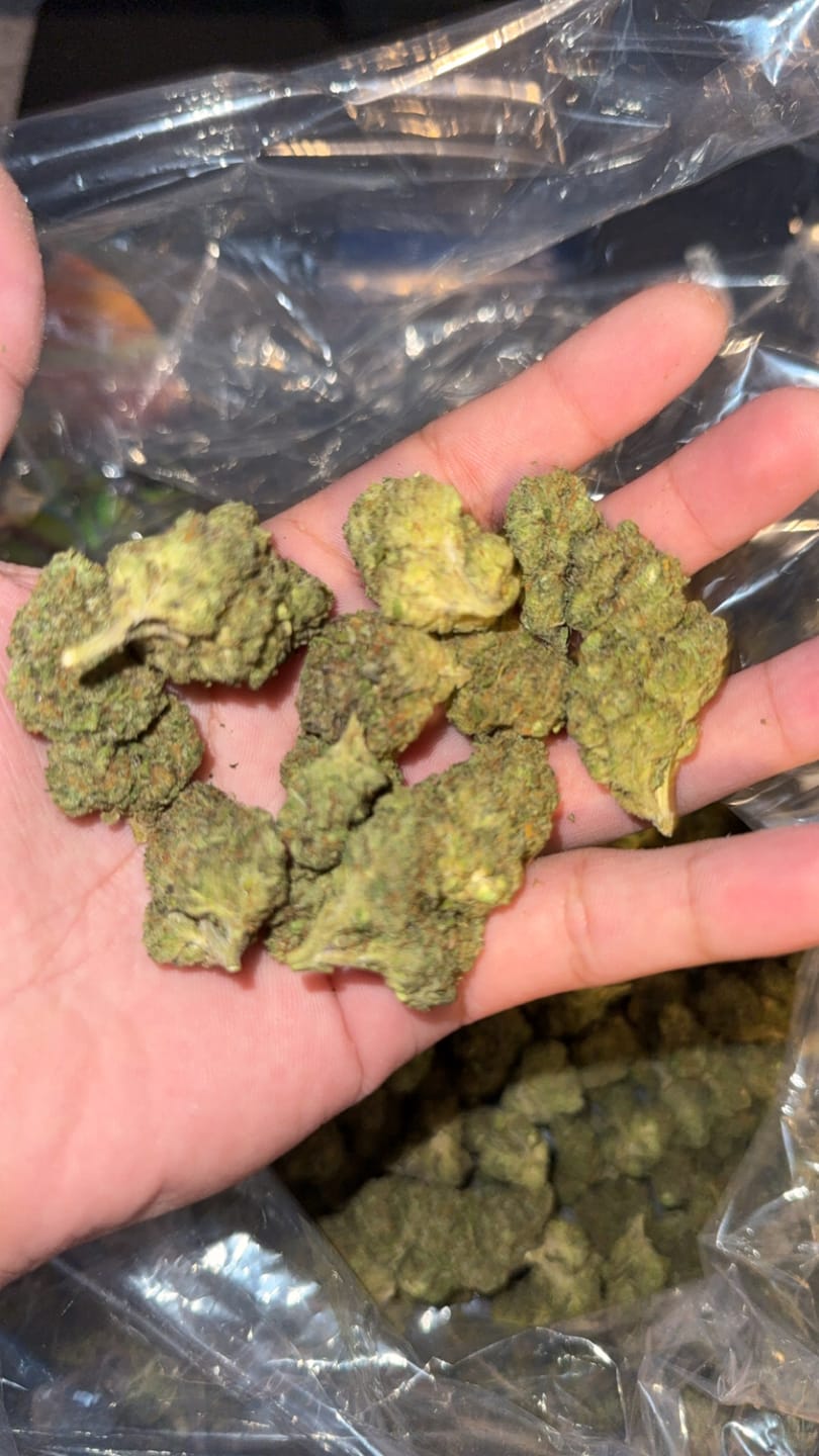 Customer photo review of Super Runtz Mediums - Bulk Mediums - Hybrid