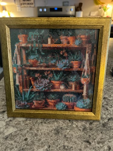 Customer photo review of Potted Succulent Shelf (Diamond Painting)