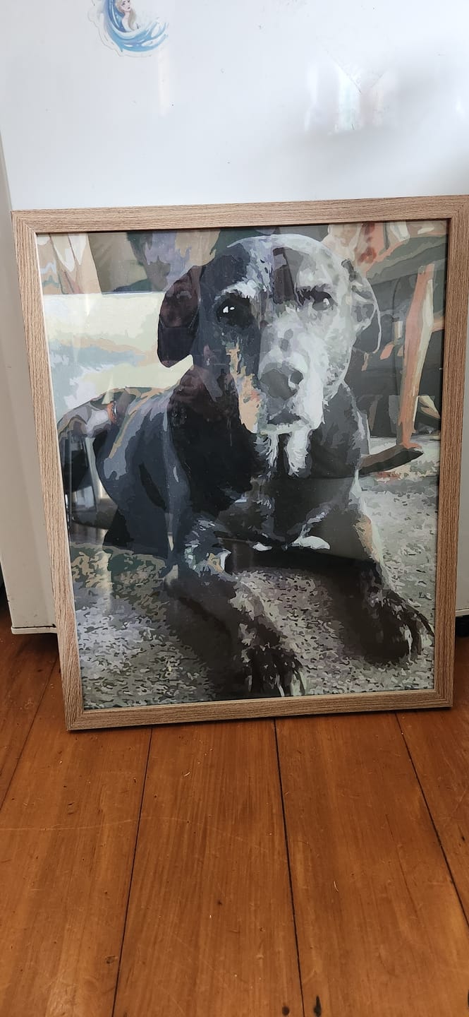 Customer photo review of Paint Your Photo