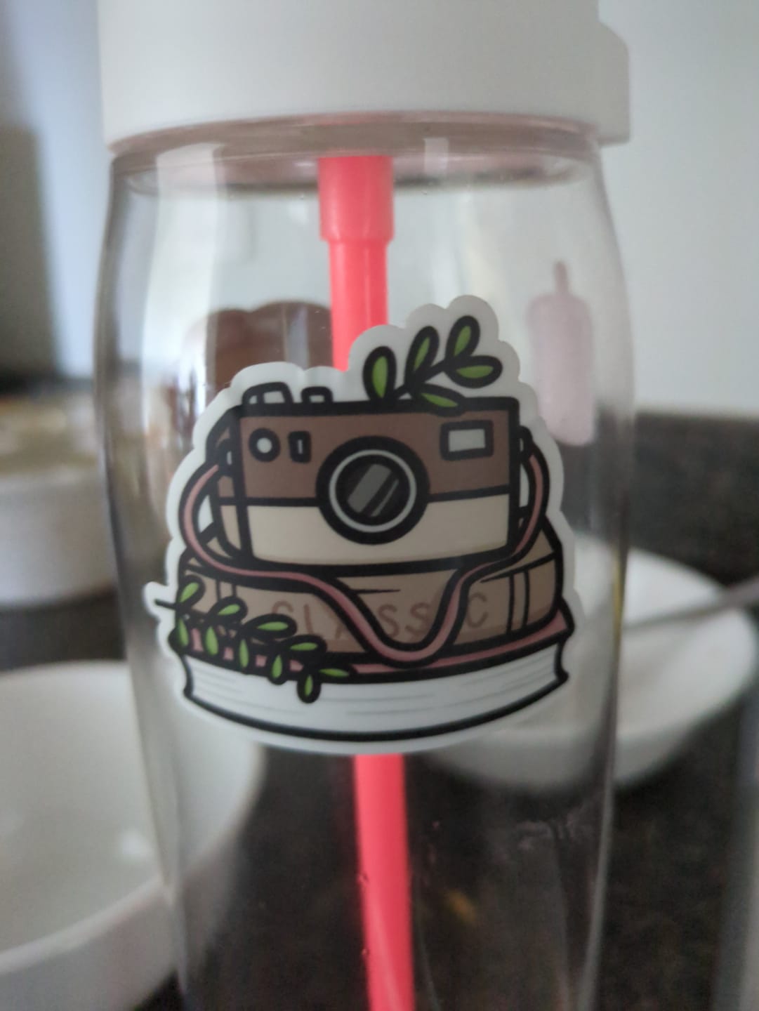 Customer photo review of Vintage Stationery Die Cut Stickers (Set of 5)