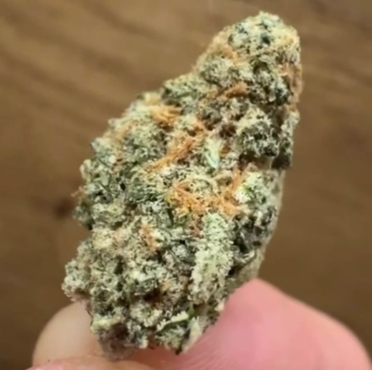 Customer photo review of THC-A 31% Blüten Gary Payton