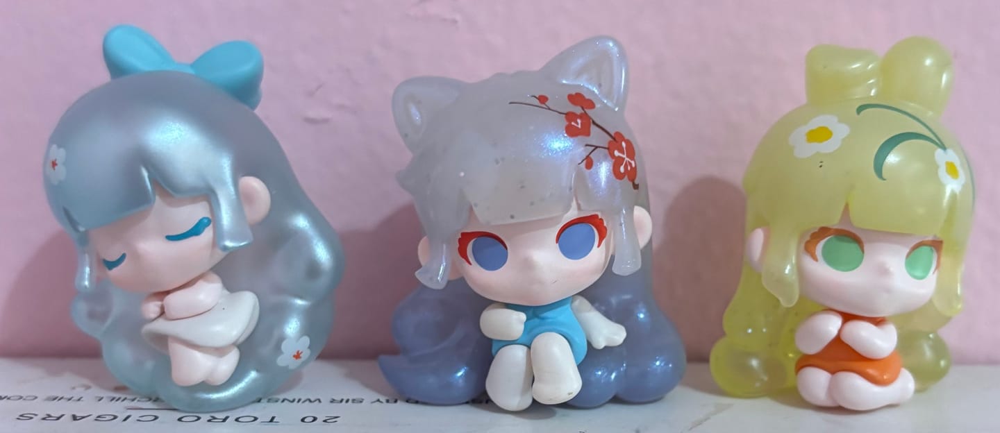 Customer photo review of Liita The 24 Solar Terms Mili Series Blind Bag