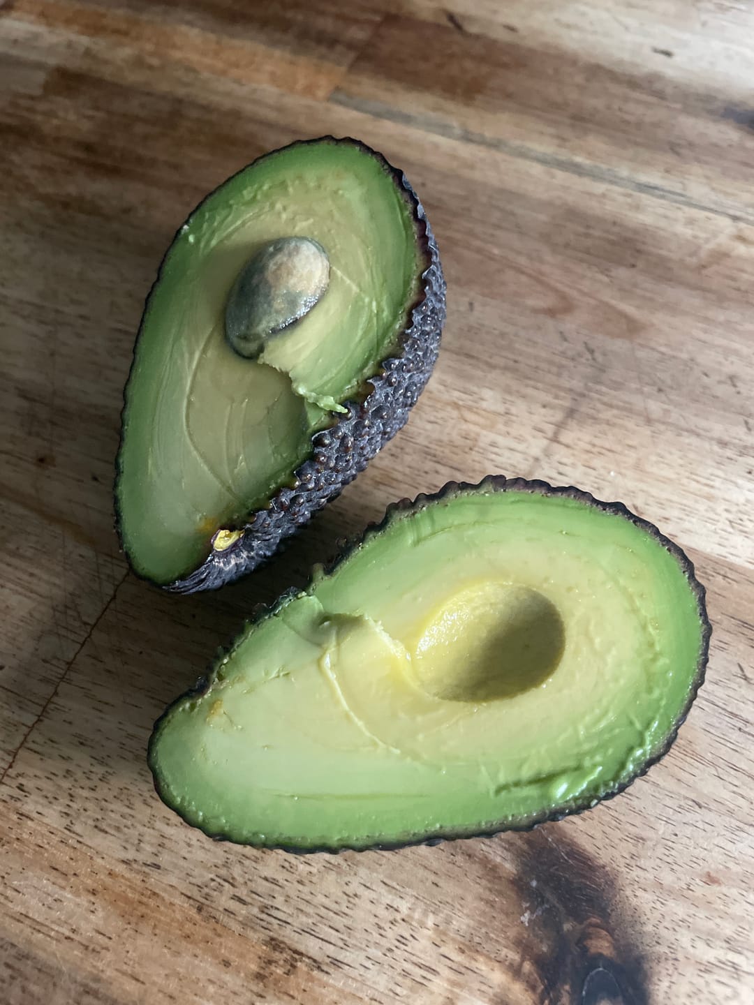 Customer photo review of Avocado Hass 15 Monate baumgereift von Julian