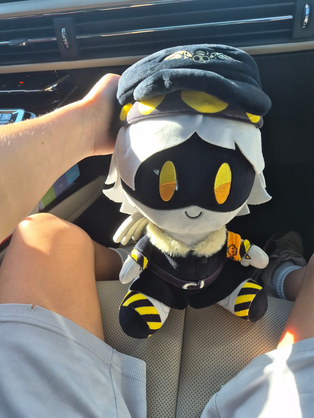 Customer photo review of N Plush