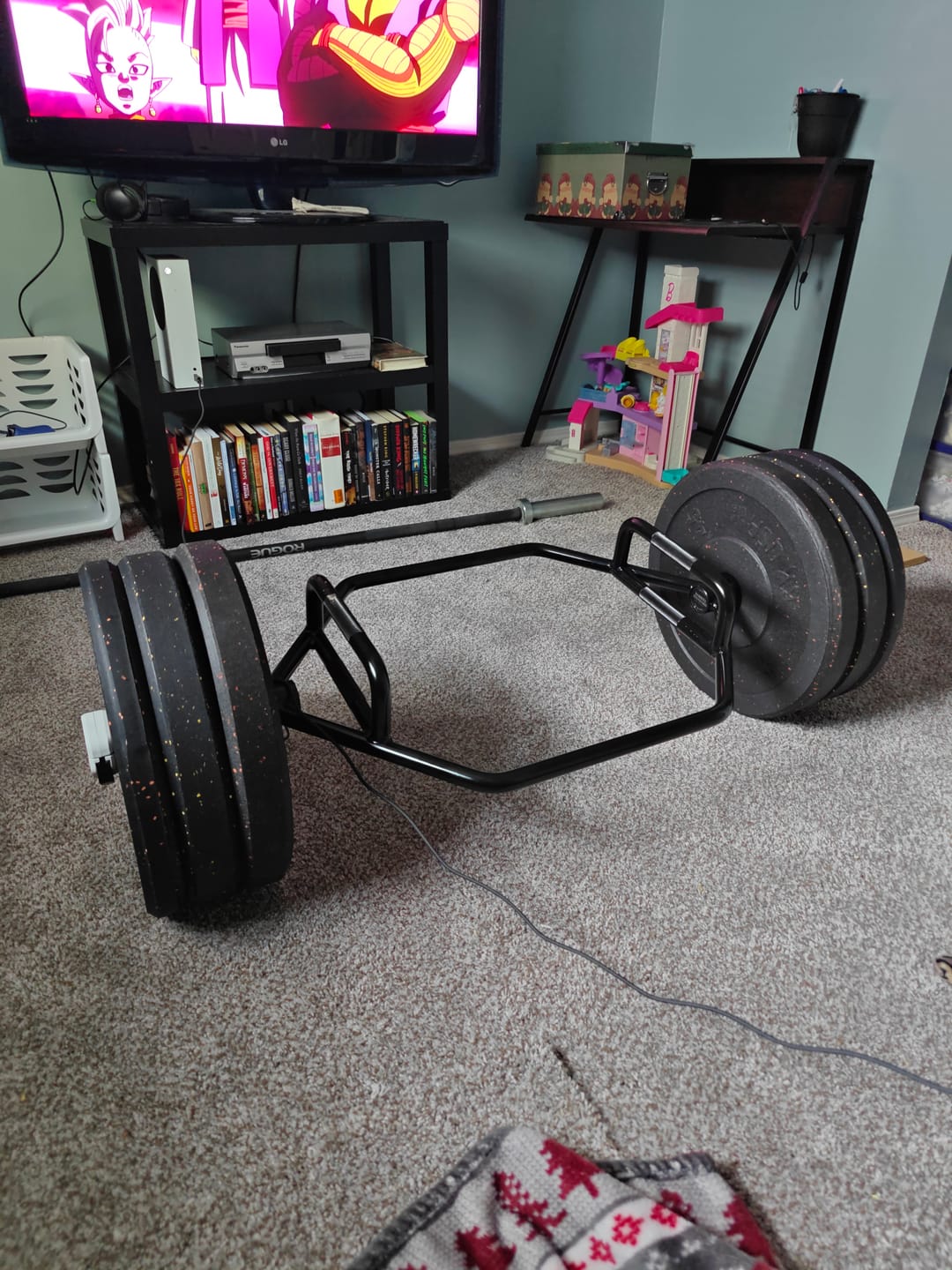 Customer photo review of 🌟NEW PRODUCT🌟 Hyper-Thin 45lb Pairs