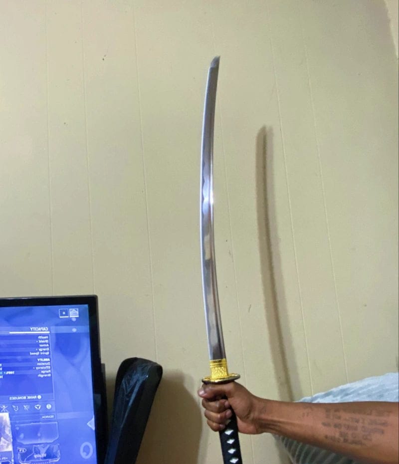 Customer photo review of Nightstalker Katana (Dragon-Engraved Tsuba)