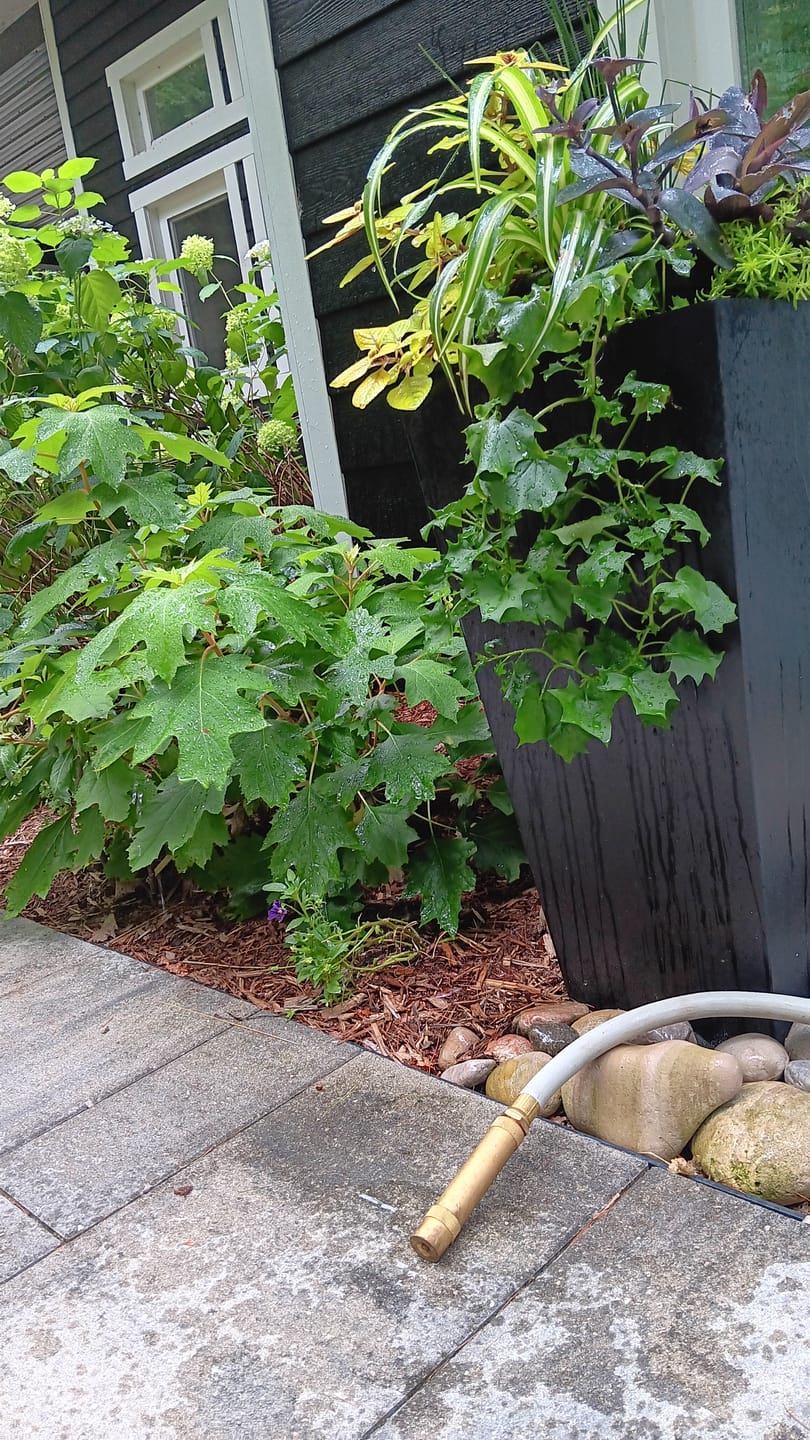 Customer photo review of Everlasting Garden Hose