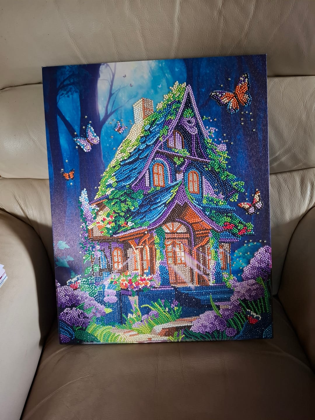 Customer photo review of Butterfly Lane Crystal Art Canvas Kit 40x50cm