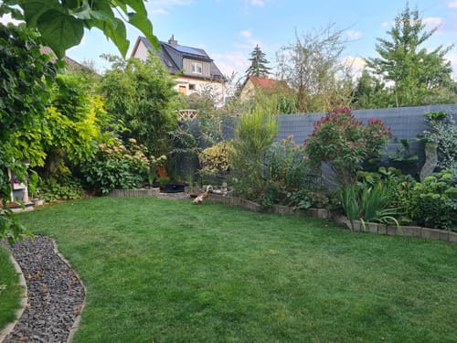 Reviewer's lush green lawn in a backyard garden, maintained with RASENBLITZ Sommerdünger despite dry weather.