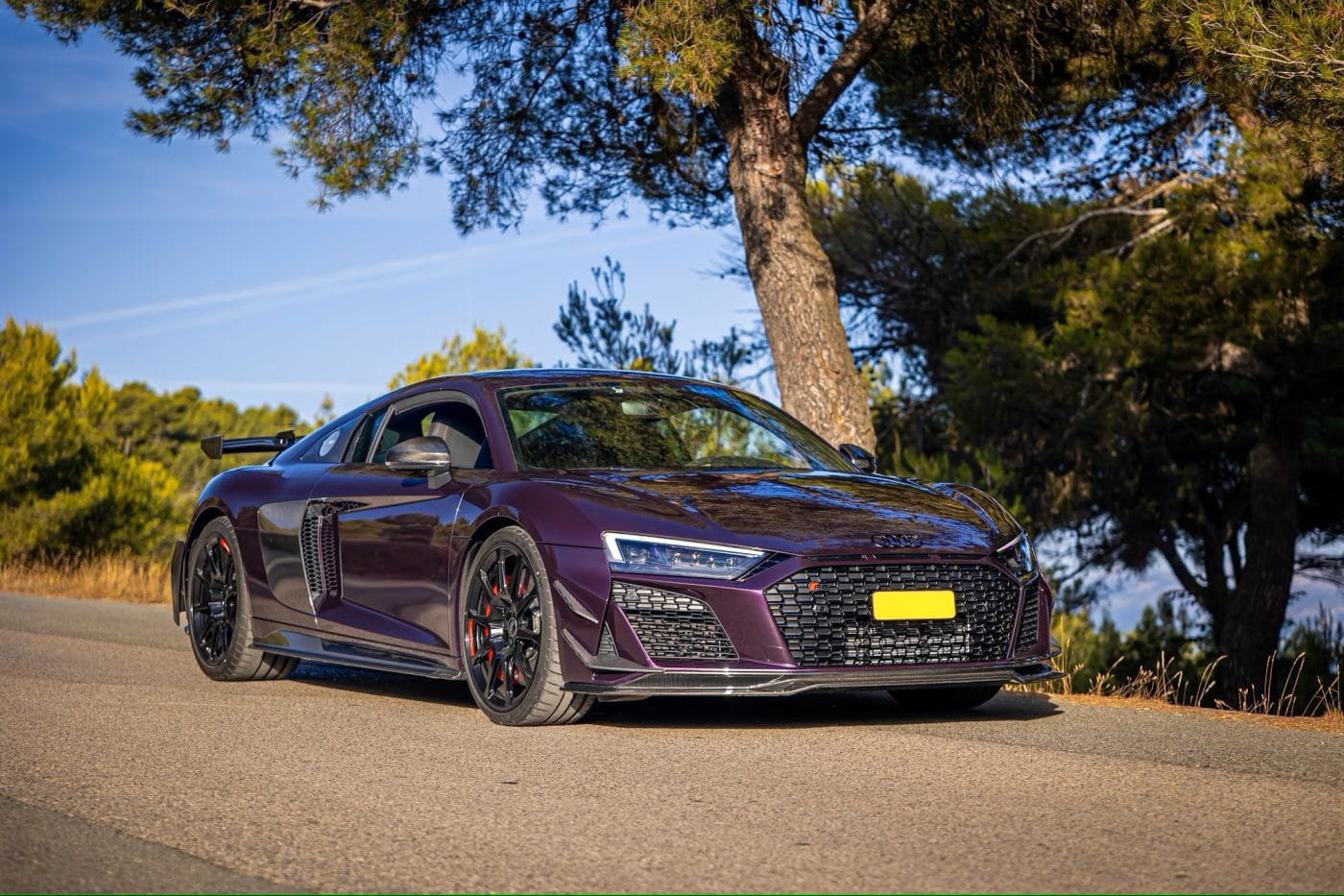 Customer photo review of Audi Pre-Preg Carbon Fiber GT Style Front Canards for R8 Gen 2 FL