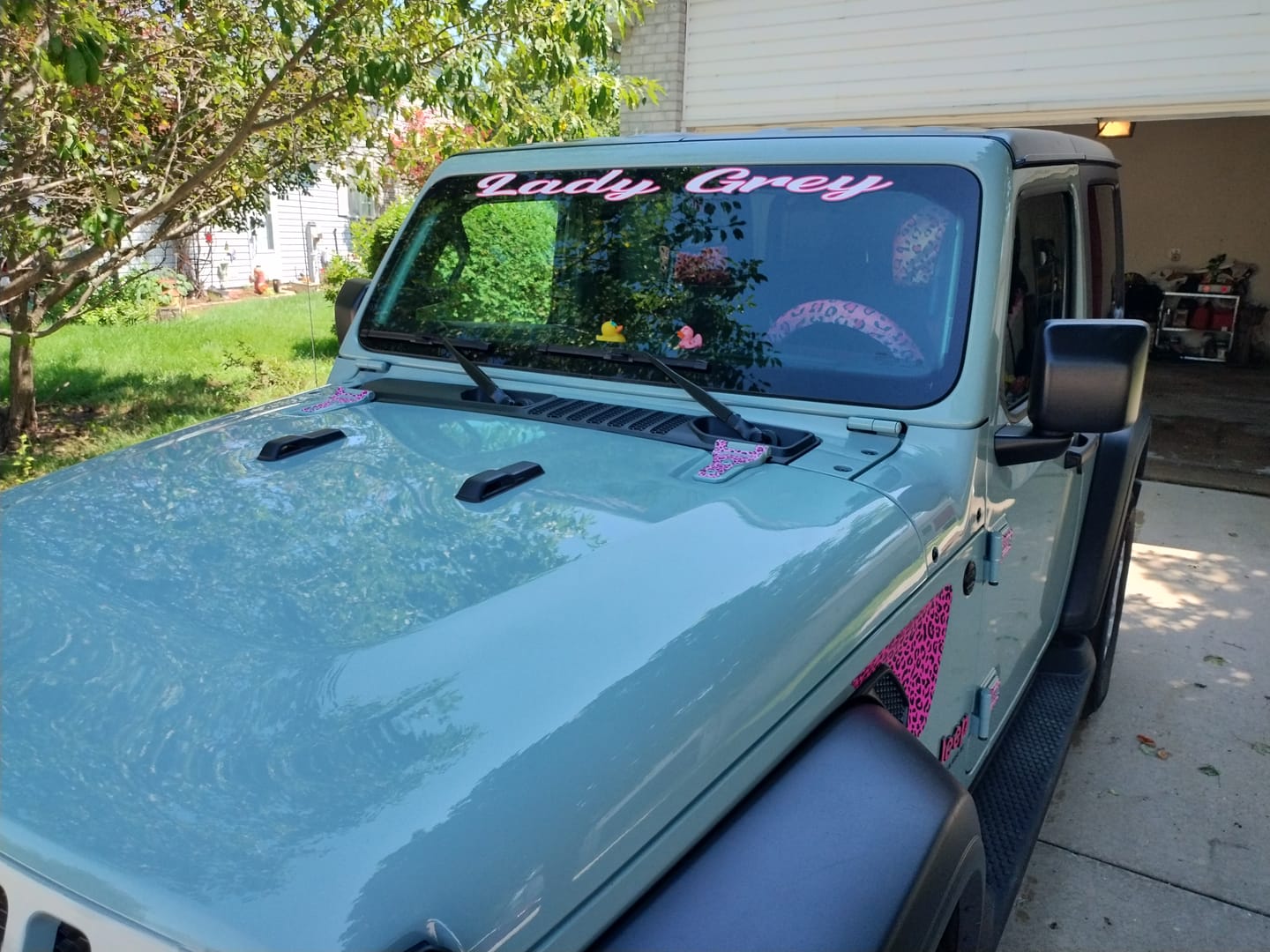 Customer photo review of Windshield Lettering