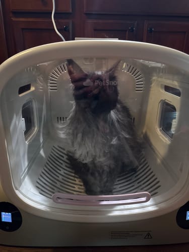 Customer photo review of Pet Dryer Box