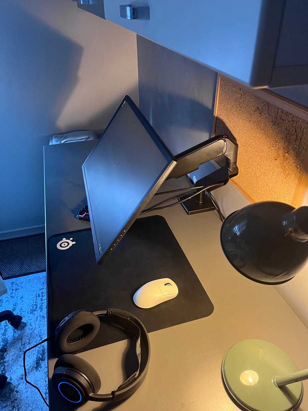 Customer photo review of Spyne Axis-1 Monitör Kolu