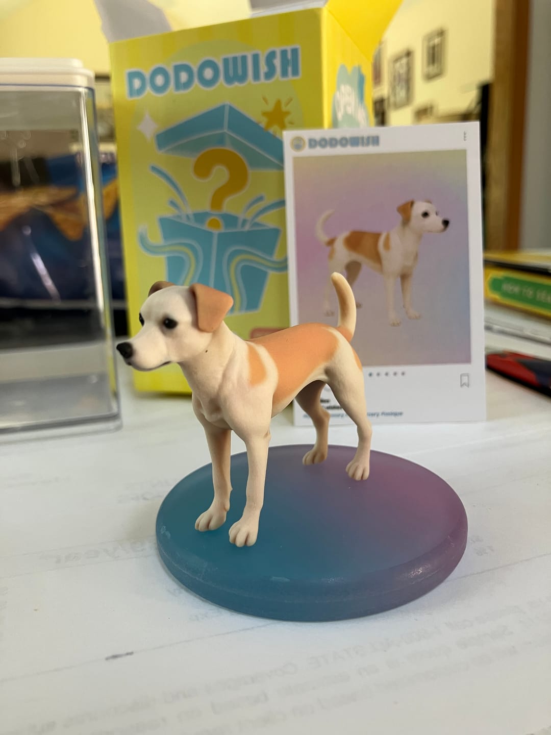Customer photo review of DoDoWish Gift Box (Free Gift)