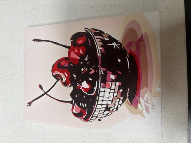Customer photo review of 6 Mini Paintings - Disco Fruit Set