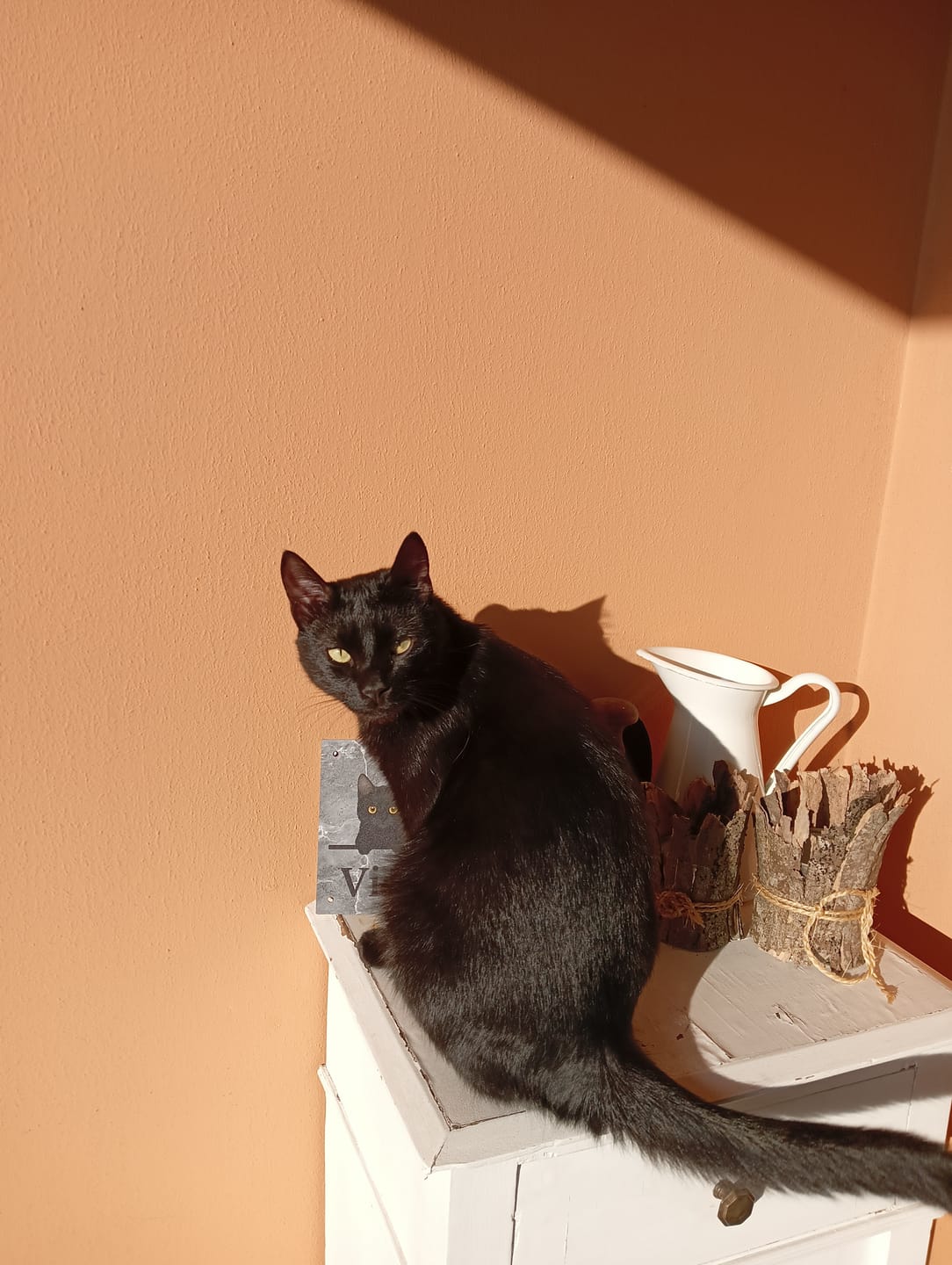 Customer photo review of Numero civico effetto marmo - Targa per porta personalizzata