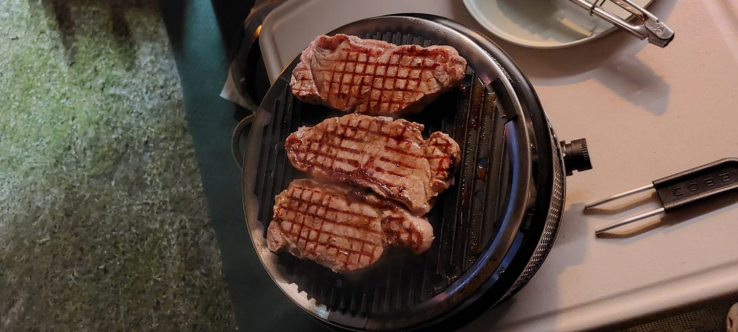 Customer photo review of COBB Grill Gas+ Bundle (LPG)