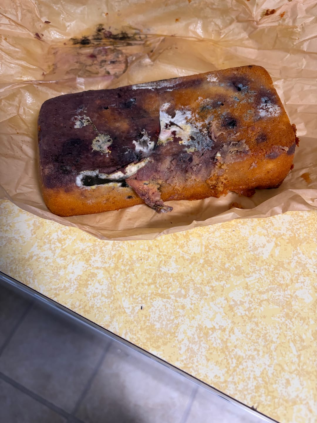 Customer photo review of Low Carb Keto Pecan Chocolate Chip Cookies