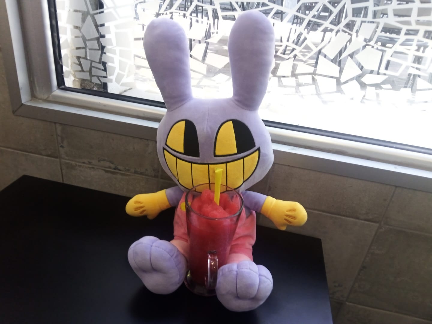 Customer photo review of Jax Plush