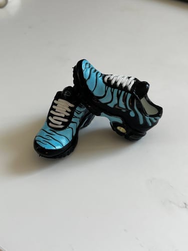 Customer photo review of Air Max Collection | Mini Sneakers Keychain