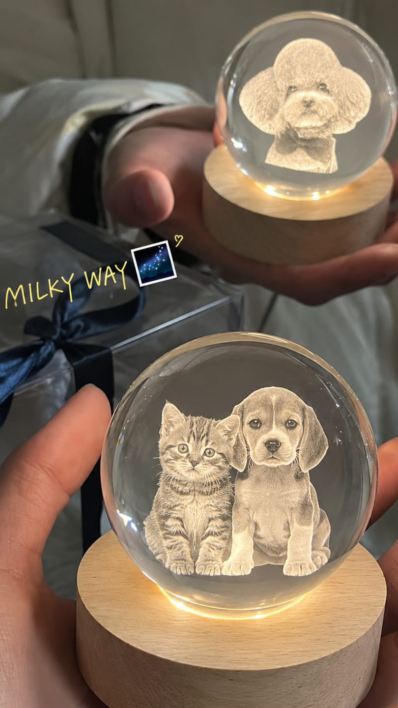 Customer photo review of Custom 3D Pet Portrait Crystal Ball Night Light