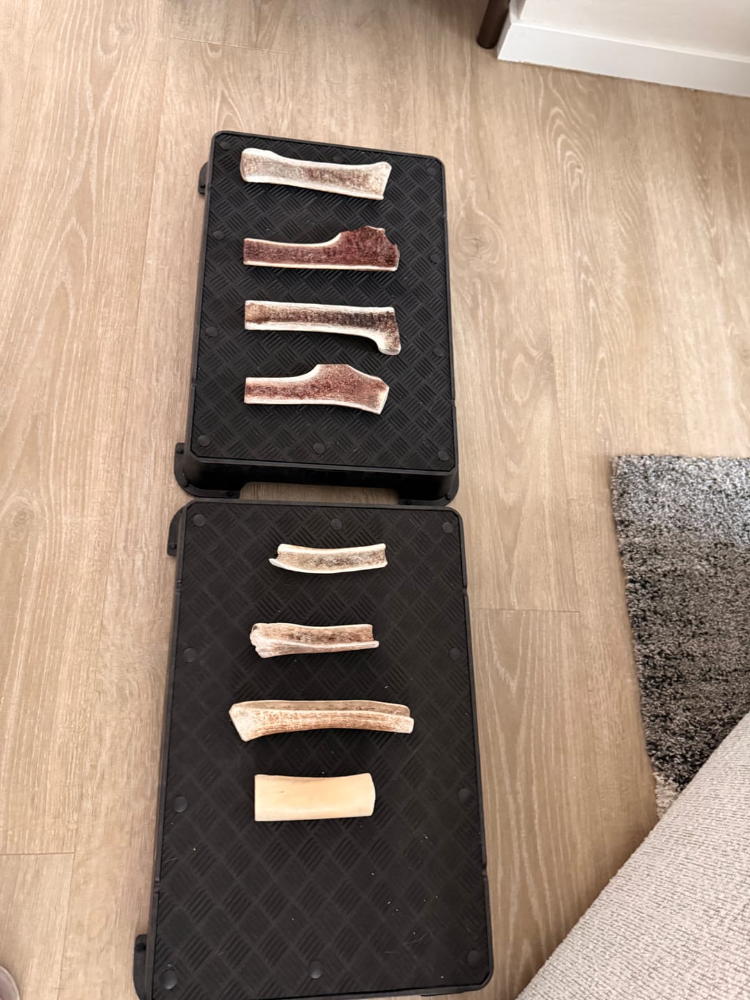 Customer photo review of Extra Large Elk Chew
