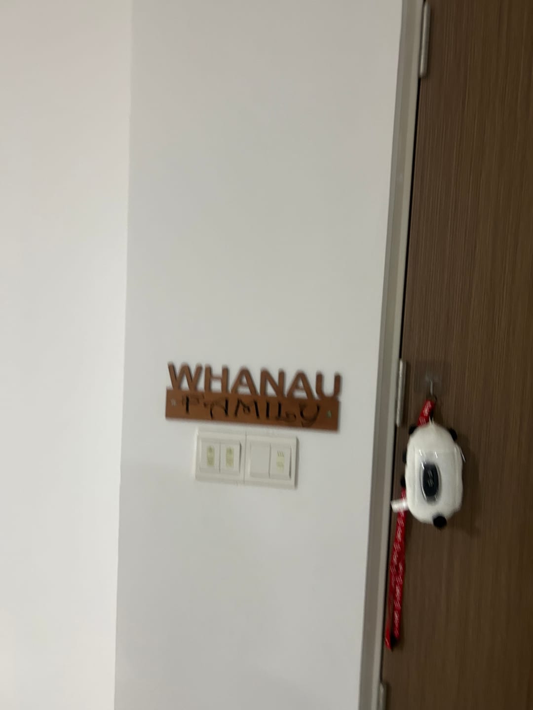 Customer photo review of Rimu and Paua Shell Whanau Family Wall Art