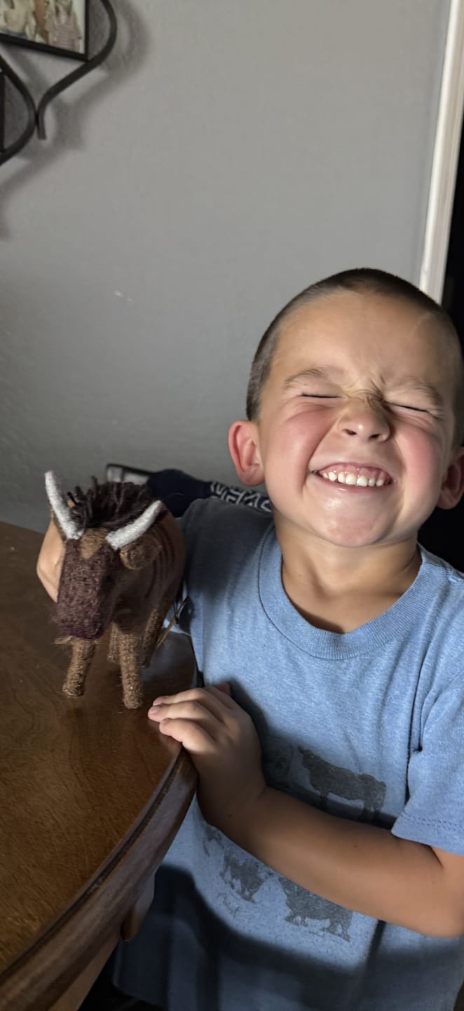 Customer photo review of Felt Wildebeest Soft Toy for Safari Play