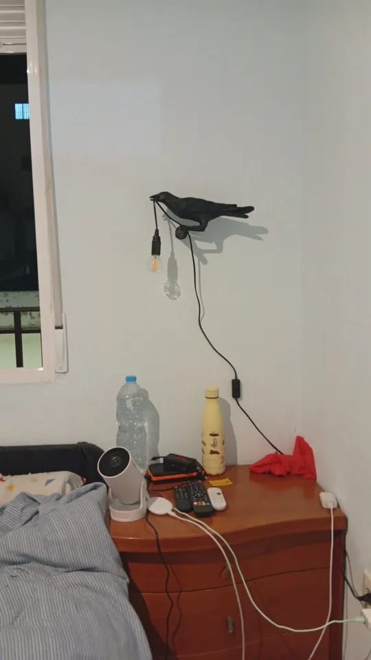 Customer photo review of Table Lamp, Raven Resin Sculpture, E14 Edison Bulb, White or Black
