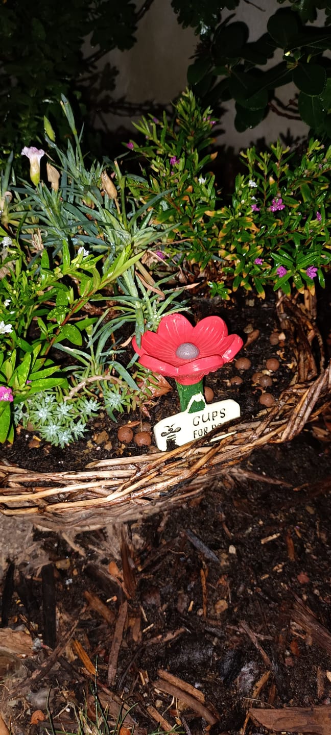 Customer photo review of La Pause des Abeilles®