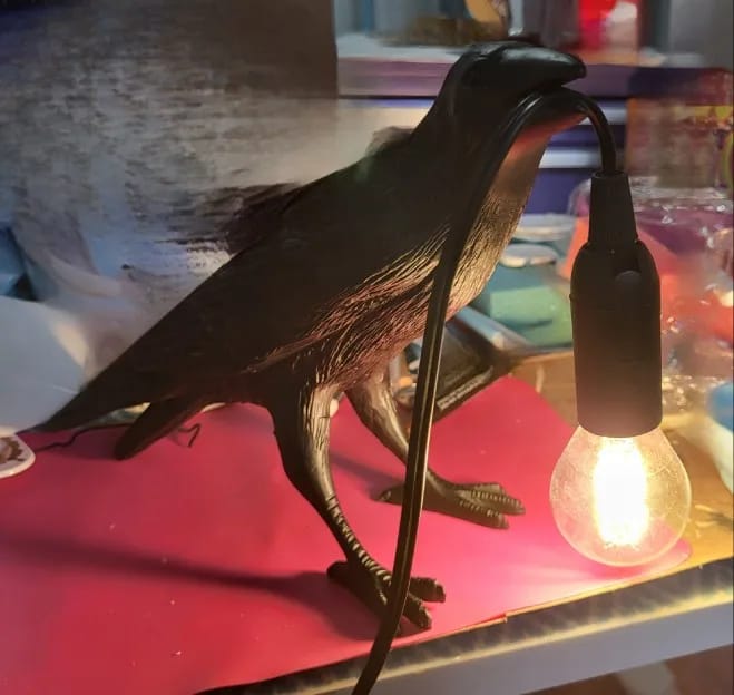 Customer photo review of Table Lamp, Raven Resin Sculpture, E14 Edison Bulb, White or Black