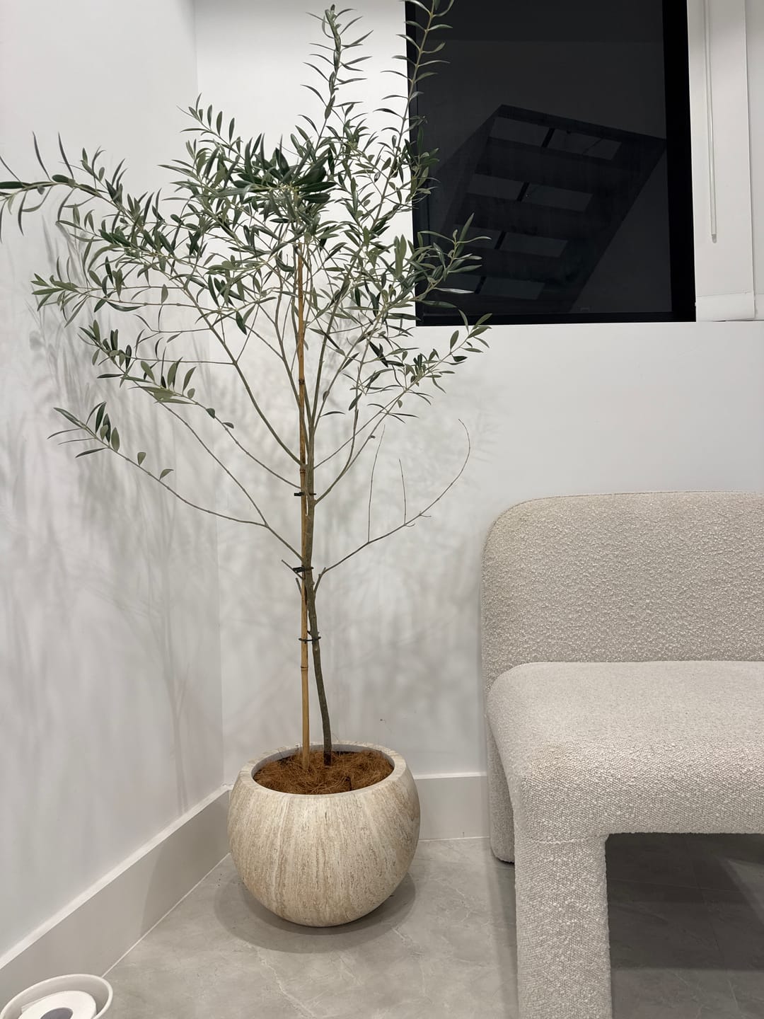 Customer photo review of 2 Sizes - Luxury Rounded Marble Planter | Premium Pot Range