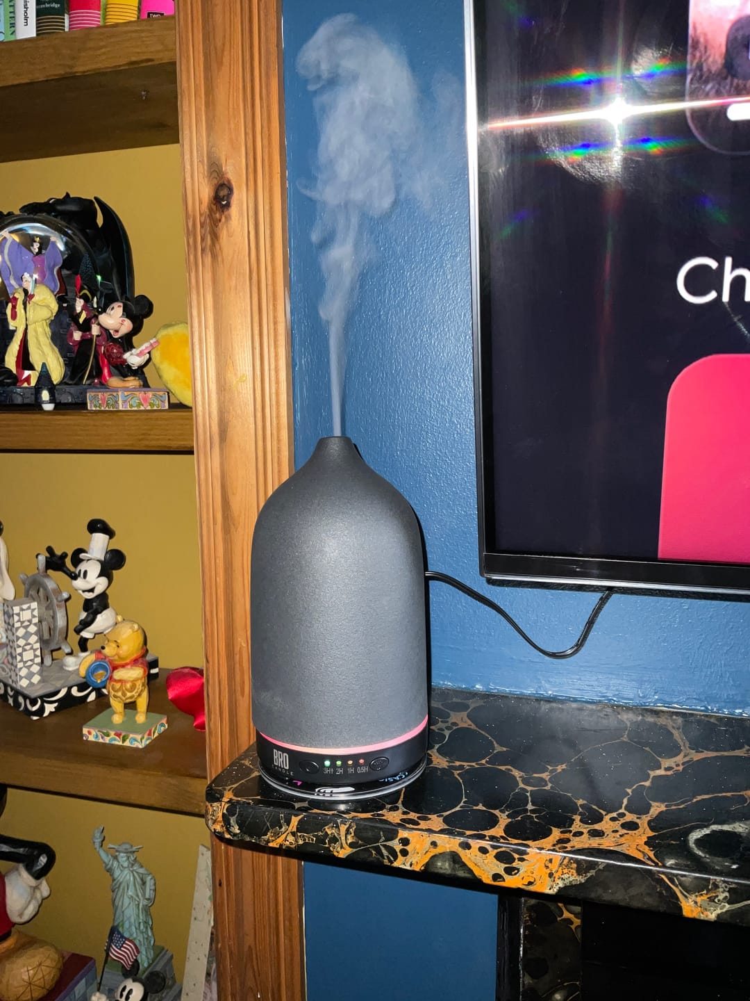Customer photo review of Electric Home Diffuser
