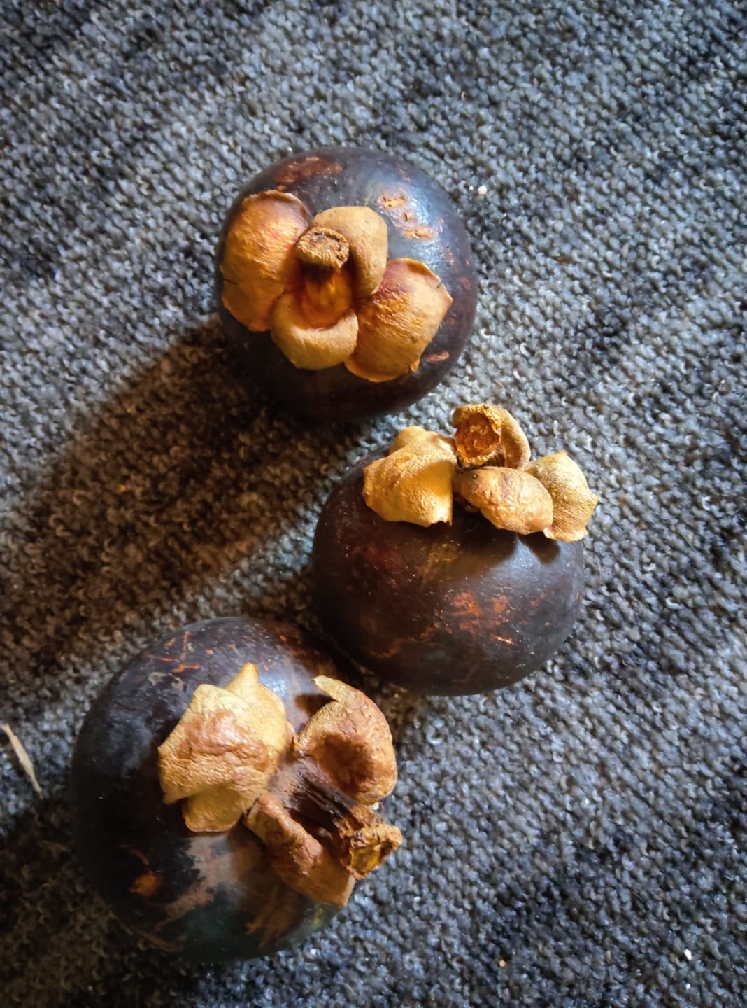 Customer photo review of Mangostan (Mangosteen) Sommeraktion %