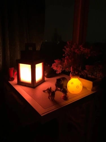 Customer photo review of Lampara Led Farol