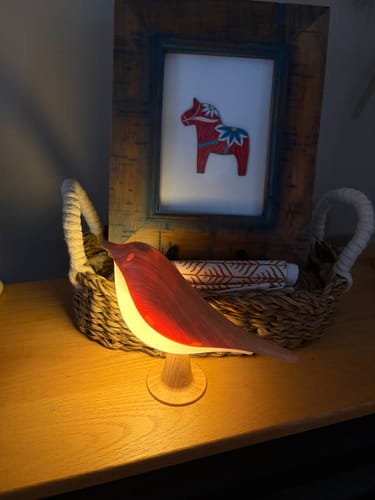 Customer's illuminated red Glow Bird light sitting on a wooden surface in a basket with a framed picture behind it.