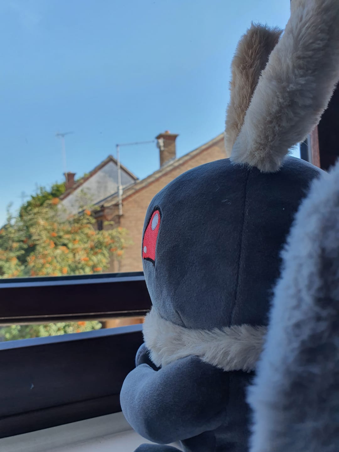 Customer photo review of Motthew | Mothman Plush 🦋