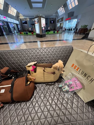 Customer photo review of Ultra-soft Removable Cushion