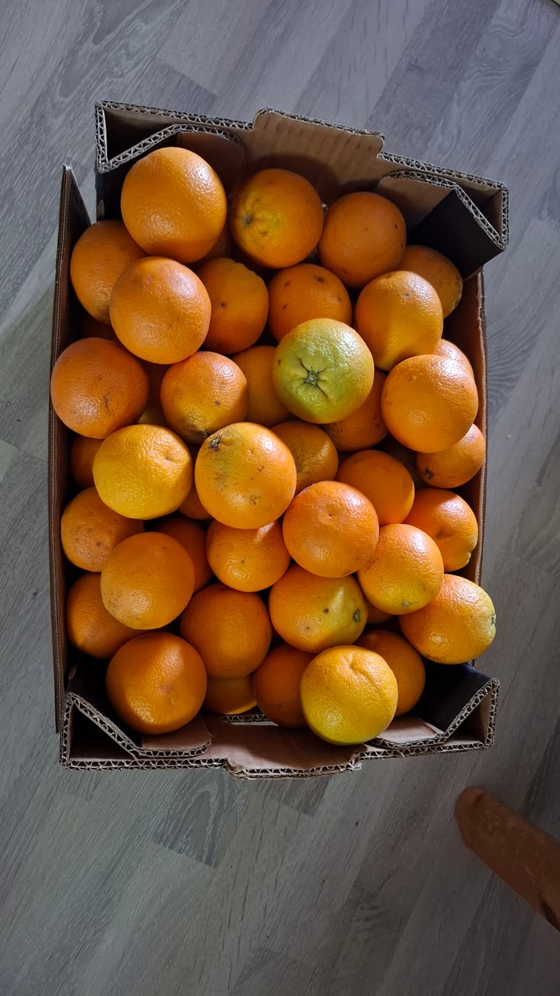 Customer photo review of Sommer-Saftorangen Bio aus Kreta