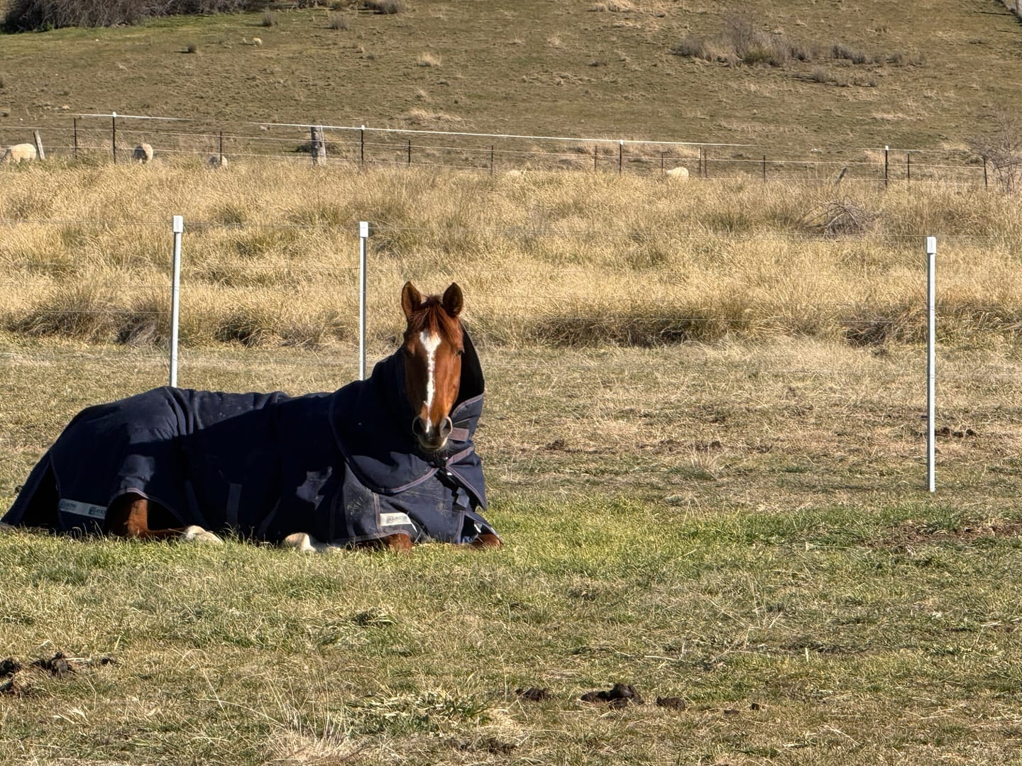 Customer photo review of LE Boxter Turnout Ripstop 200g