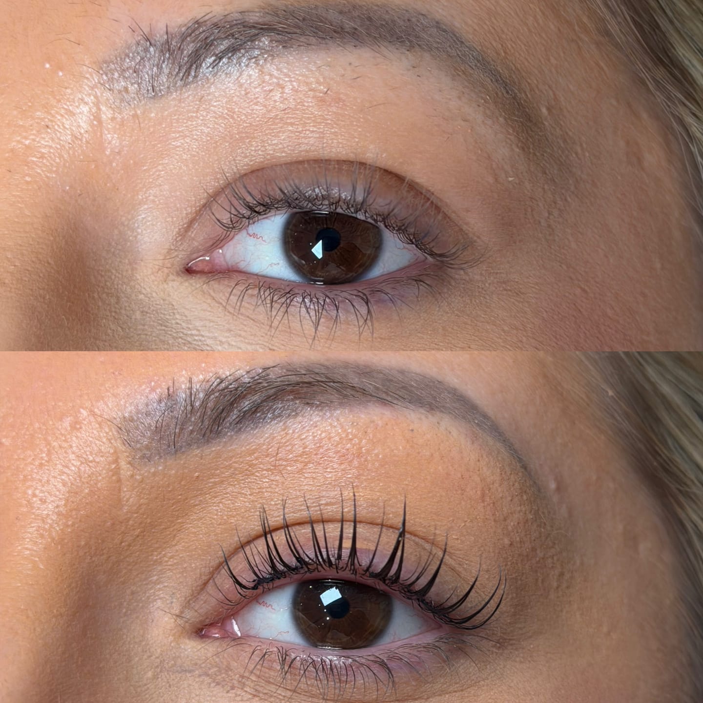 Customer photo review of Pure Care Lash & Brow Lift Pack