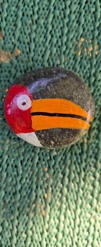 Customer photo review of 15/20 Stuks Grijze Schilderstenen 3-5 cm 1,5 KG Happy Stones + QR Codes voor de App